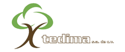 Tedima